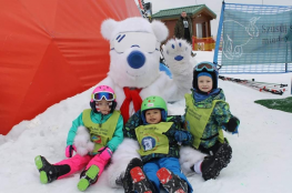 Czarna Góra Atrakcja Szkoła narciarska Szkoła Narciarska Koziniec